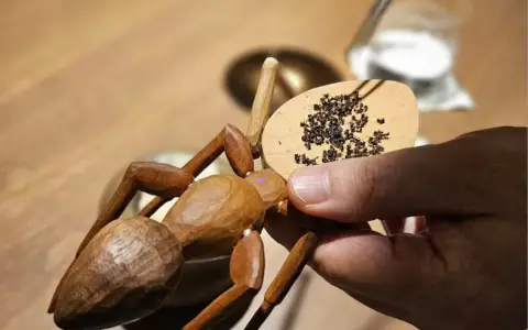 Un restaurante con estrellas Michelin servía un postre con hormigas