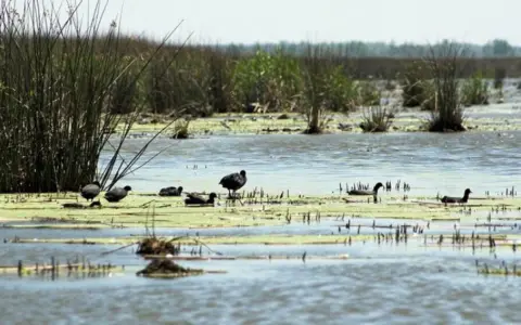 Realizan el mapeo mmás exhaustivo de los ecosistemas argentinos: Lagunas pampeanas del norte