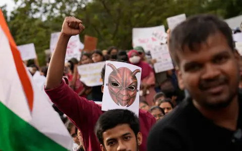 Un manifestante con una careta de una cucaracha, este lunes en la ciudad india de Bangalore.
Aijaz Rahi 
