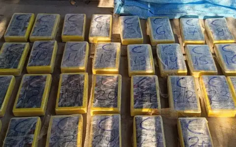 Parte de los "ladrillos" con cocaína secuestrados.