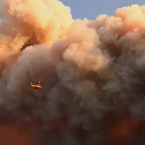 Un devastador incendio forestal en Francia dejó 20 mil evacuados y 3.100 hectáreas destruidas