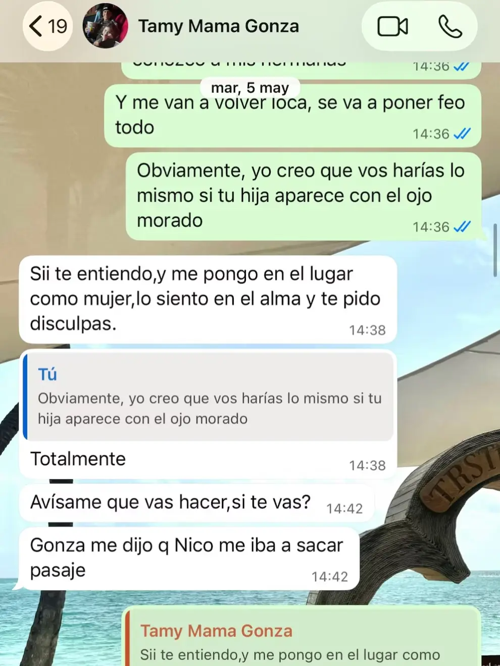 El chat entre la presunta víctima y la madre del futbolista, publicado por la denunciante.